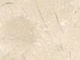 Mrmore Crema Marfil Standard